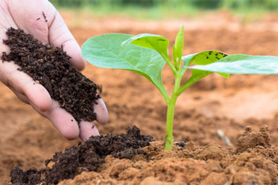 کود های شیمیایی و آلی